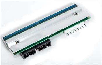 Zebra Skrivehode Original P1004232